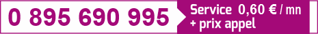 Téléphone rose dial sexe plan Q au tel rose 0895 69 09 95